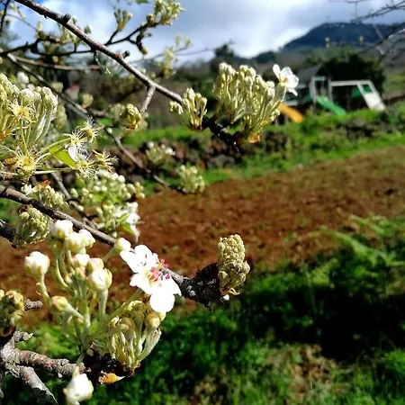 Suerteluna Casa Rural Apartmán La Matanza De Acentejo